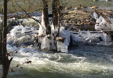 Tocht Mountainbike Luik - Trop dimanche  - Photo