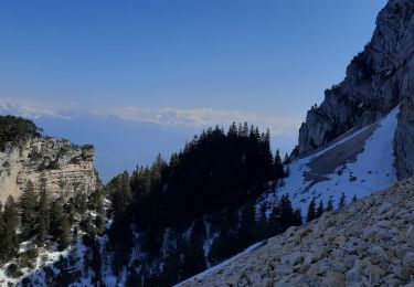 Tocht Stappen Saint-Nizier-du-Moucherotte - vallon des forges - Photo