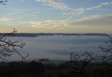 Tour Zu Fuß Unbekannt - Culmberg-Steinkreuz-Jenzig-Fuchsturm-Forsthaus-Papiermühle - Photo