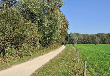 Randonnée A pied Oostkamp - Meersen wandelroute - Photo