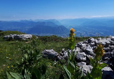 Trail Walking Entremont-le-Vieux - Le Granier par le pas des Barres, retour par la Balme à Colomb - Photo