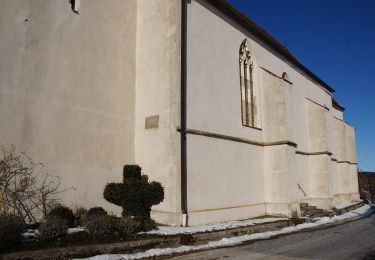 Tocht Te voet Velburg - Rundweg um den Sperlasberg - Photo