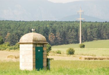 Excursión A pie Gemeinde Neunkirchen - Laufstrecke Föhrenwald 1 - Photo