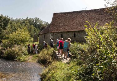 Tocht Stappen Bretoncelles - La marche de l'écrevisse 10 Km + Variante 9 km - Photo