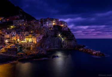 Excursión A pie Riomaggiore - Manarola - Sella Casao – S. Benedetto - Photo