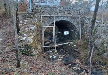 Tocht Stappen Châteauneuf-Val-Saint-Donat - CHATEAU NEUF  VAL SAINT DONNAT . Vieux Chateau NVSD , les ponts romains o l - Photo