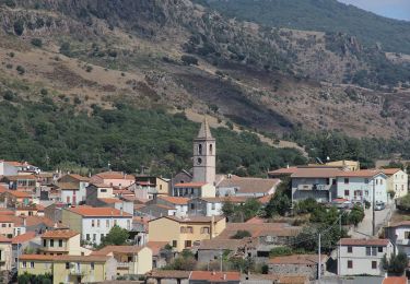 Tocht Te voet Bortigale/Bortigali - Anello Bortigali - Monte Santu Padre - Photo