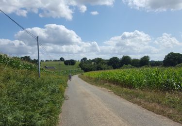 Percorso Bici da strada Montenay - 10 août 2019 montenay  22°c - Photo