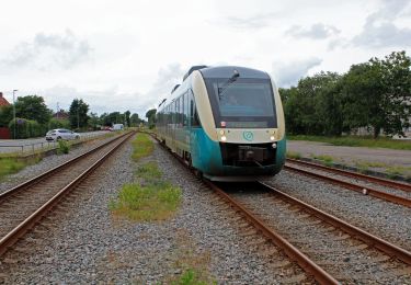 Percorso A piedi  - Sort Kløversti, Skærbæk - Photo