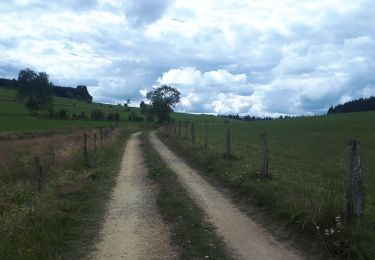 Trail Walking Bütgenbach - Butchenbach - Bullingen - Photo