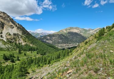 Tocht Stappen Montgenèvre - Fort du Gondran - Photo