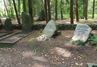 Percorso A piedi Winsen (Aller) - Rund um die Meißendorfer Teiche - Photo