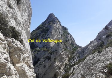 Tour Wandern Saint-Rémy-de-Provence - Crête des Alpilles (Rocher des 2 Trous) - Photo