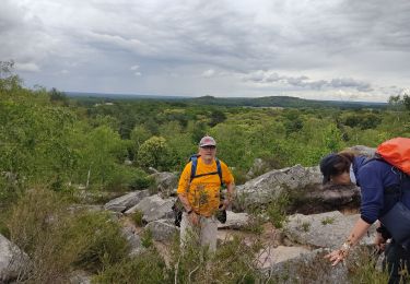 Trail Walking Nainville-les-Roches - Les grands avaux - Photo