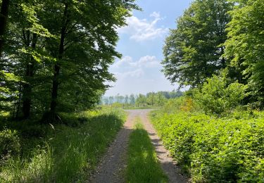 Trail Walking Noroy-sur-Ourcq - en Forêt de Retz_93_05_2022_le Bois de Cresnes - Photo