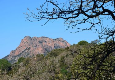 Tour Wandern Roquebrune-sur-Argens - Roquebrune/Argens - 25 Ponts - ND de Pitié - Lac des clos - Photo