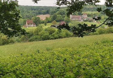 Trail Walking Valorbiquet - St Cyr - Tordouet -Fervaques - Photo