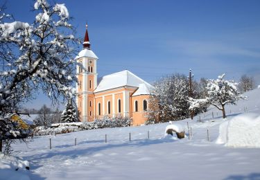 Tour Zu Fuß Bad Loipersdorf - Handspurweg - Photo