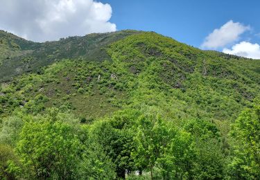 Trail Walking Vielle-Aure - la neste  - Photo