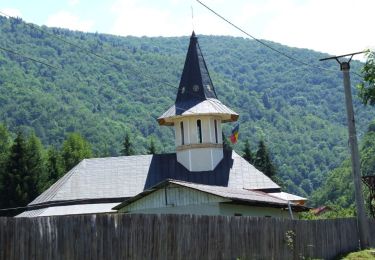 Randonnée A pied  - Poiana Mărului – Buza Nedeii – Vârful Poiana Nedeii – Vârful Bistricioara – Vârful Mătania (Nedeia) - Photo