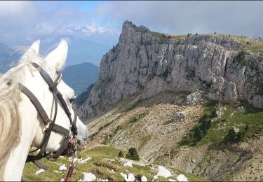 Trail Horseback riding Saint-Agnan-en-Vercors - Vassieux - Col du Rousset vers Grand Veymont - Photo