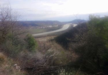 Tour Wandern Arras-sur-Rhône - Arras Les Rives de l'auzon 13km - Photo