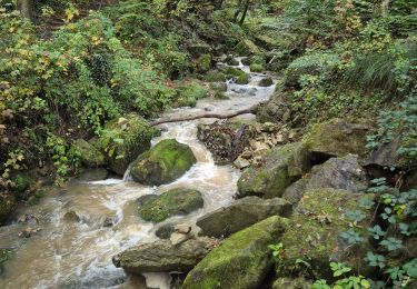 Excursión Senderismo Echternach - Mullerthal E1 - Photo