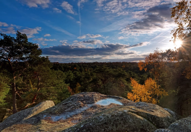 Tocht Noords wandelen Fontainebleau - 2024-10-27_20h46m19_SityTrail - 4235922 - 2024x10x24_23h40m22_sitytrail-x-3845711-x-2023x10x21_09h06m43_sitytrailxxx297744 - Photo