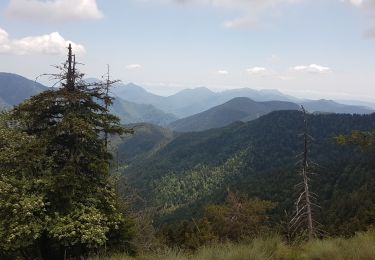 Tour Wandern Moulinet - PIC CALMETE - Photo