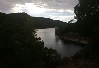 Tocht Mountainbike La Môle - Tour du lac de la Verne départ Pachacaïd - Photo