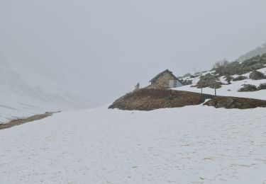 Excursión Raquetas de nieve Aragnouet - Piau-Engaly: Le Col, Neste de Badet (Brouillard) - Photo