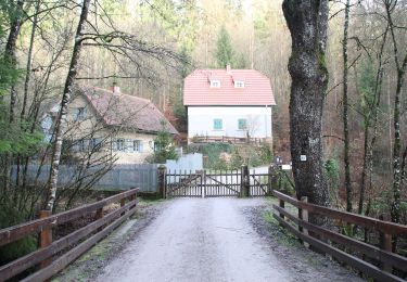 Excursión A pie Bischbrunn - Ortswanderweg Bischbrunn 1 - Photo