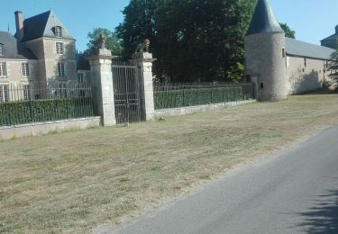 Excursión Bicicleta híbrida Châteauneuf-sur-Loire - 2029-07-15 - Photo