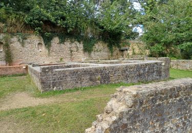 Tocht Stappen Saint-Nic - GR34 St-Nic -- Douarnenez  - Photo