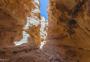 Tour Zu Fuß מועצה אזורית ערבה תיכונה - IL-17467 - Photo