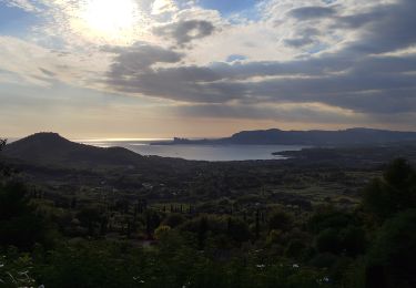 Tour Wandern La Cadière-d'Azur - Dans les vignes autour de la Cadiere - Photo