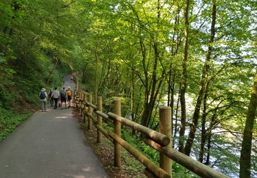 Trail Walking Durbuy - Durbuy - MESA 2021 - Photo