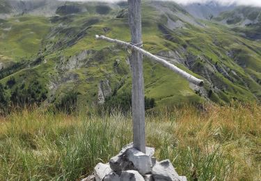 Tocht Stappen Seyne - Le tourtourel - Photo