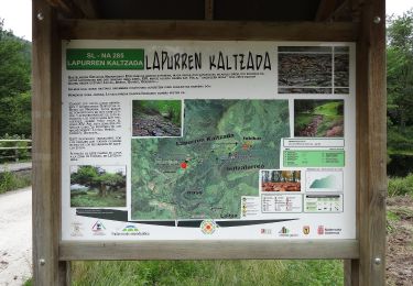 Trail On foot Leitza - SL-NA 285 Lapurren kaltzada - Photo