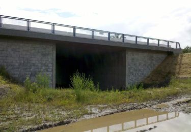 Tour Zu Fuß Neukieritzsch - Rundweg Hainer See - Photo