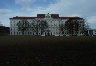 Tour Zu Fuß  - Stadtwanderweg Bachlberg - Photo