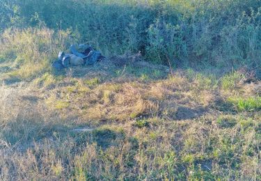 Tocht Stappen Le Monastier-sur-Gazeille - étape 1 et 2 chemin de Stevenson - Photo