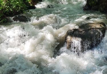 Excursión Senderismo Vallouise-Pelvoux - Vallouise cascade de la Pssette - Photo