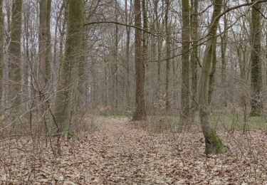 Tocht Stappen Lontzen - A la découverte des trois frontières  - Photo