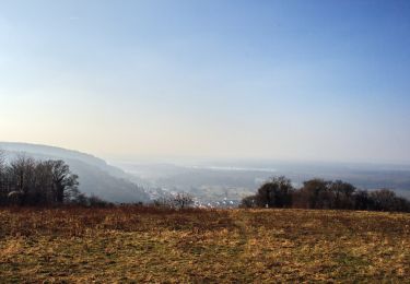 Tocht Te voet Bruchsal - Bruchsaler Kreuzweg und Grund - Photo