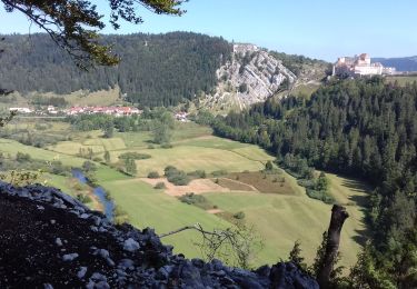 Trail Walking Granges-Narboz - Les Granges Dessus - belvédère sur le château de Joux  - Photo