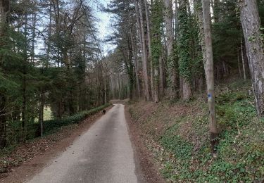 Excursión Senderismo Piégros-la-Clastre - chemin des maries retour Estour - Photo