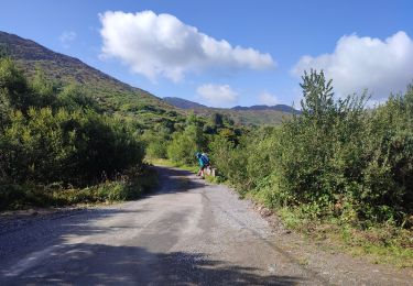 Tour Wandern West Cork - Glengarriff - Ardrigole - Photo