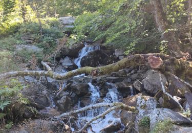 Tour Wandern Cauterets - Lac de Gaube et Gr 31 - Photo