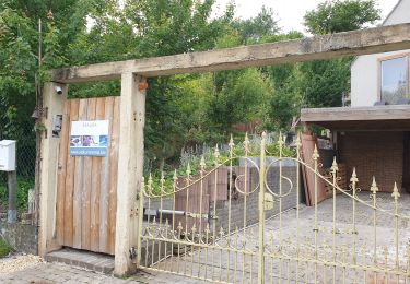 Tocht Elektrische fiets Ronse - tour Chapelle Wittentack et chemins - Photo